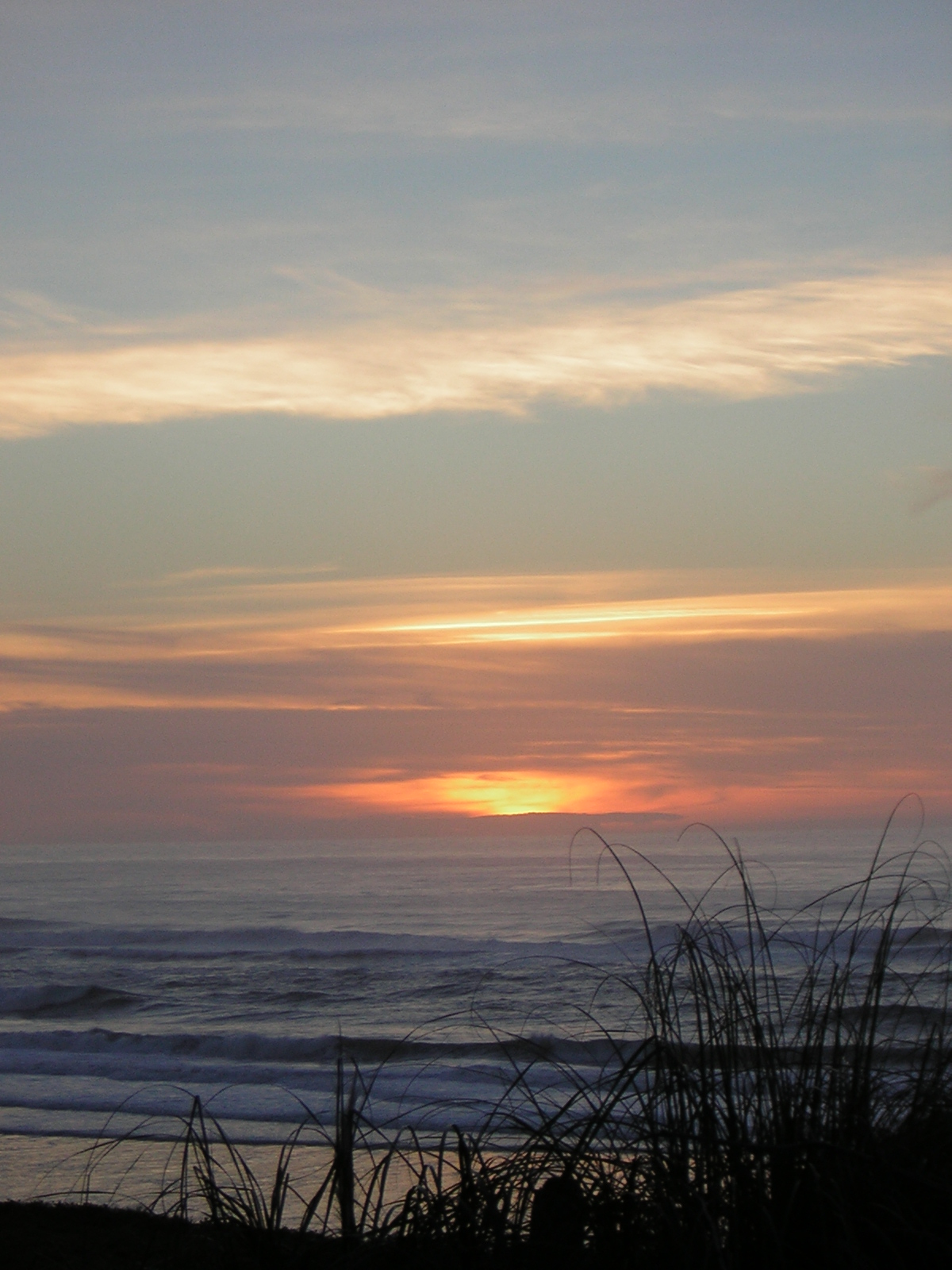 DSCN0746.jpg