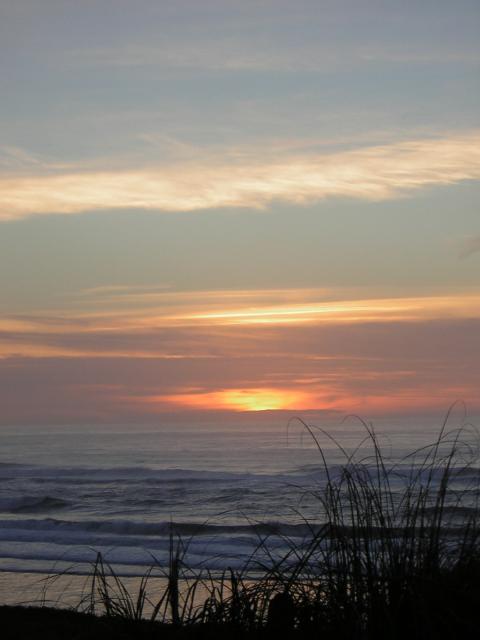 DSCN0746.jpg