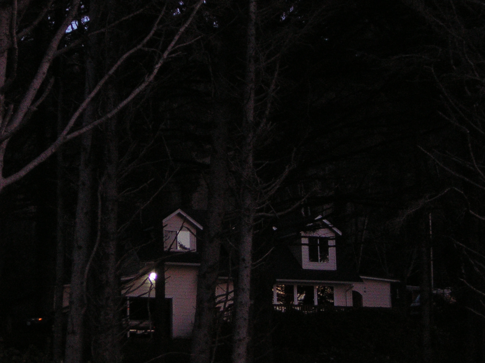 DSCN0748.jpg