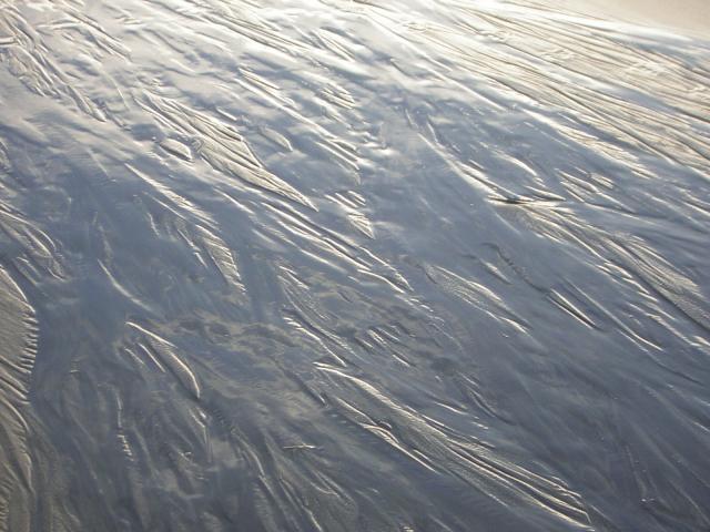 DSCN0768.jpg