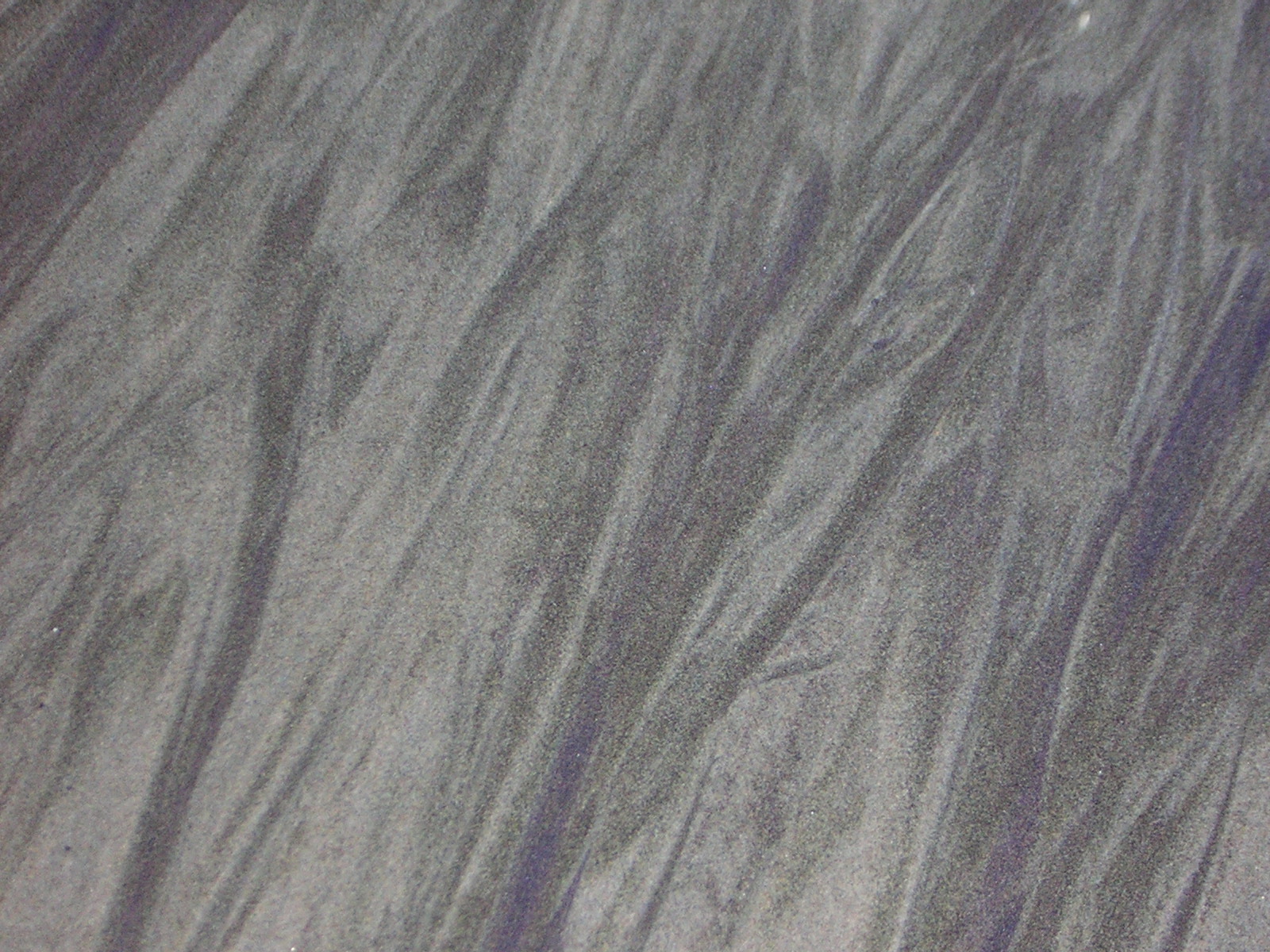 DSCN0769.jpg