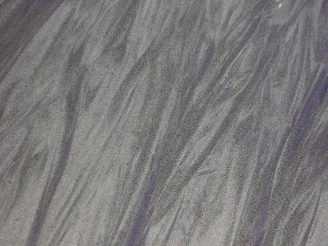 DSCN0769.jpg