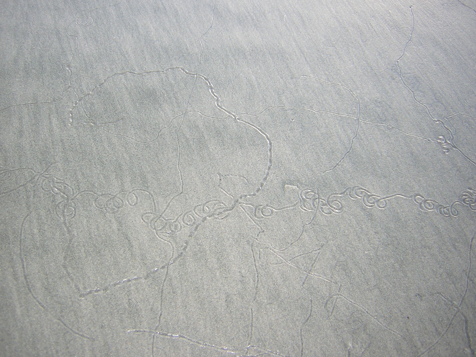 DSCN0770.jpg