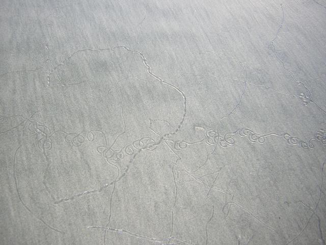 DSCN0770.jpg