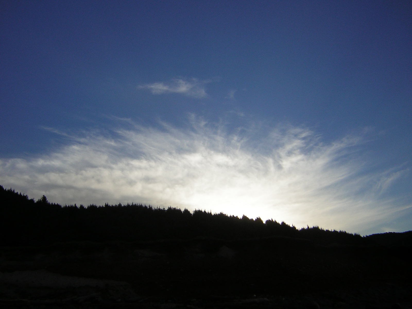 DSCN0773.jpg