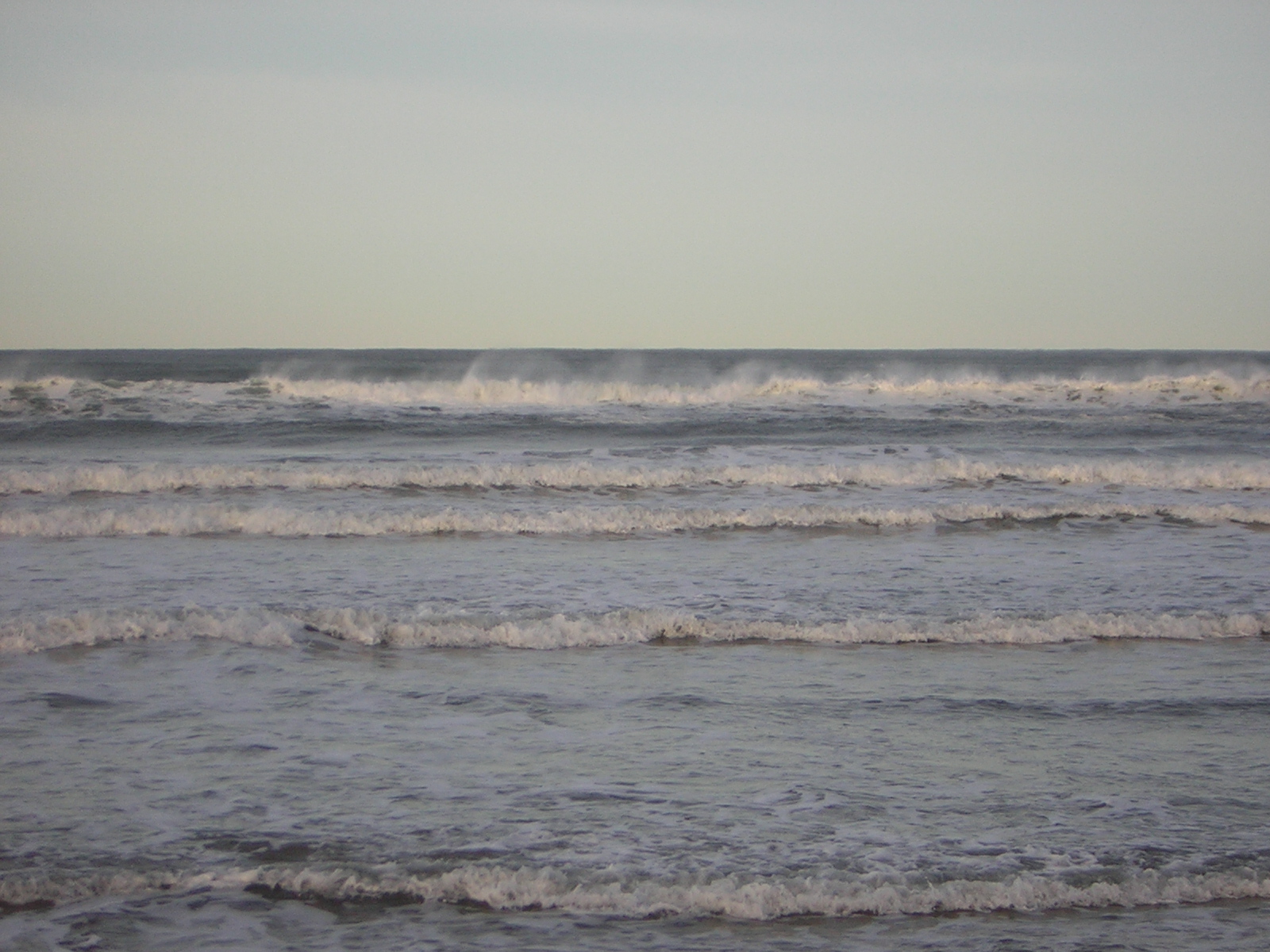 DSCN0774.jpg