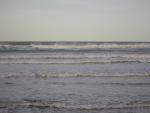 DSCN0774.jpg