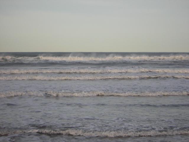 DSCN0774.jpg