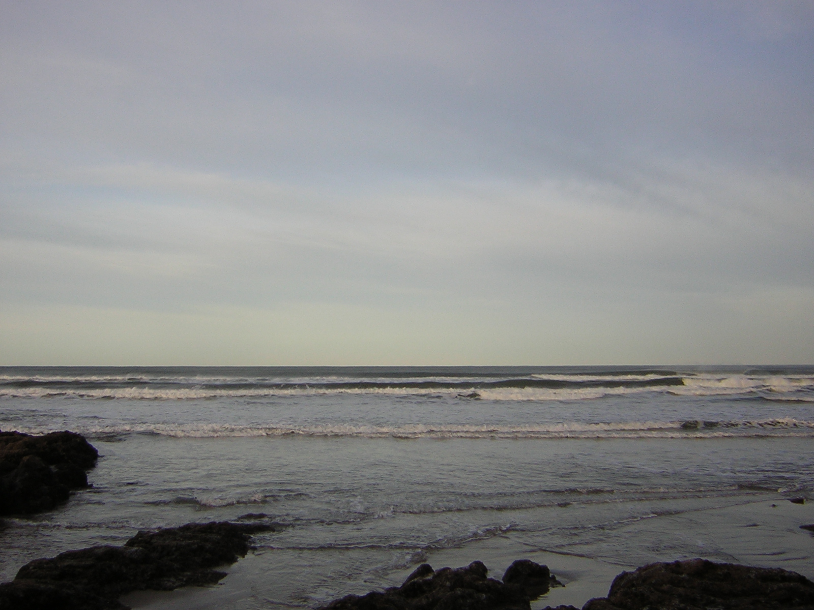 DSCN0775.jpg