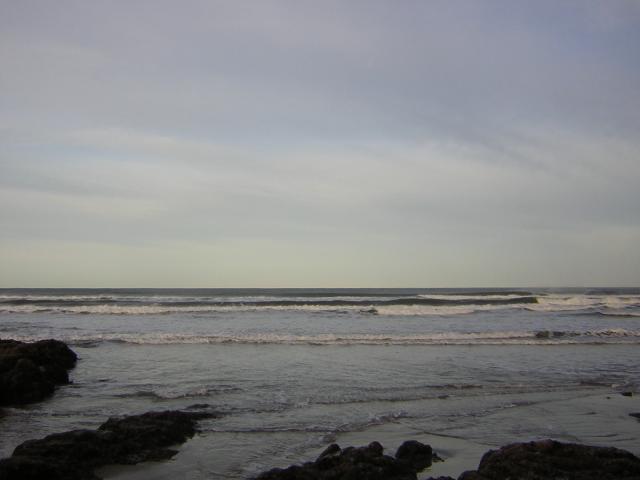 DSCN0775.jpg