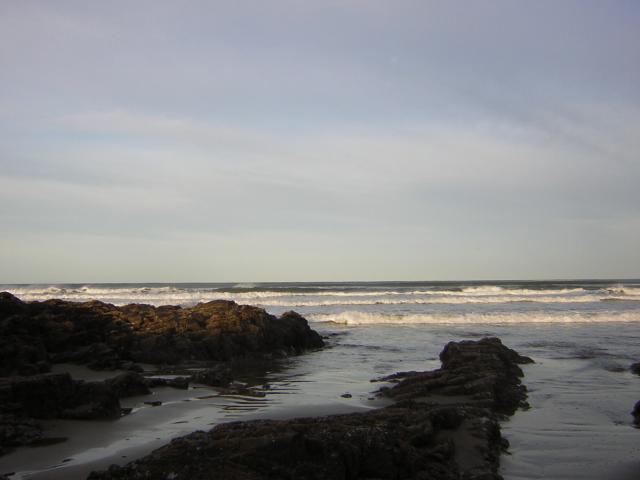 DSCN0776.jpg