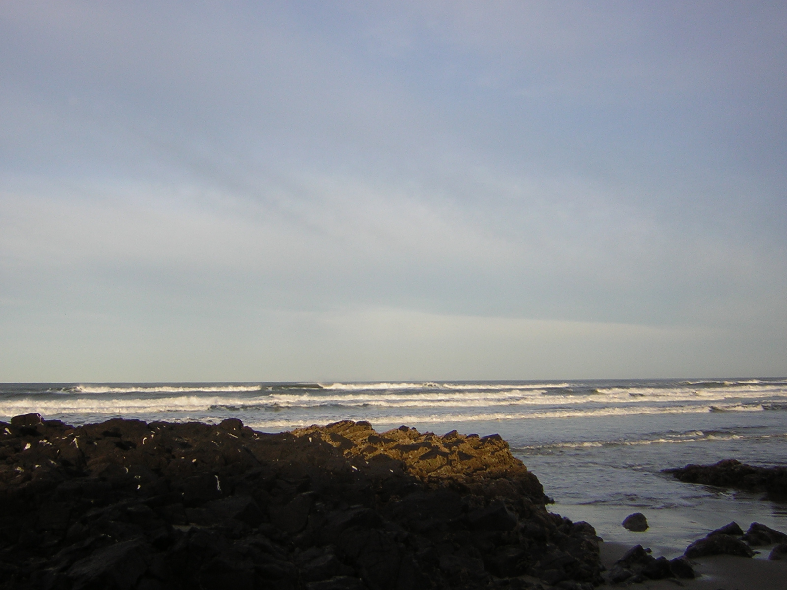 DSCN0777.jpg
