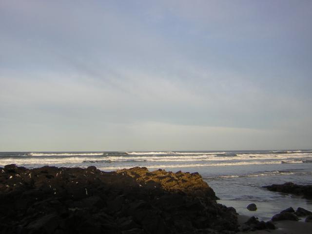 DSCN0777.jpg