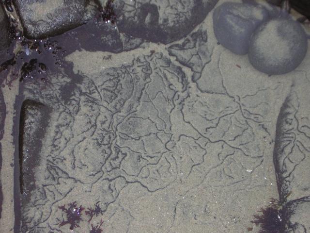 DSCN0778.jpg