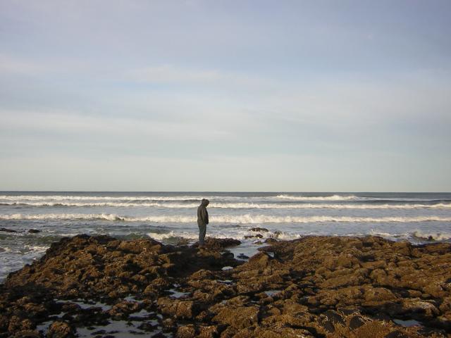 DSCN0779.jpg