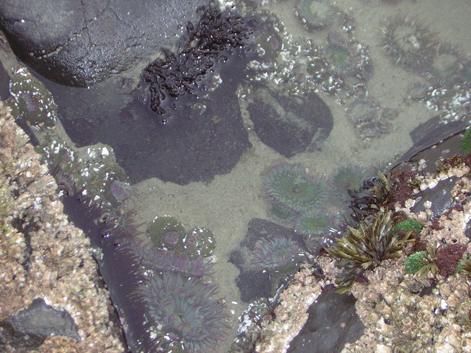 DSCN0780.jpg