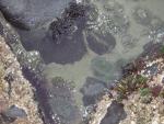 DSCN0780.jpg