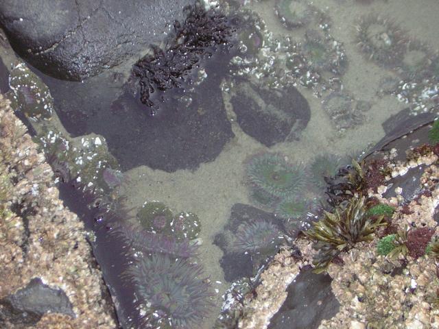 DSCN0780.jpg