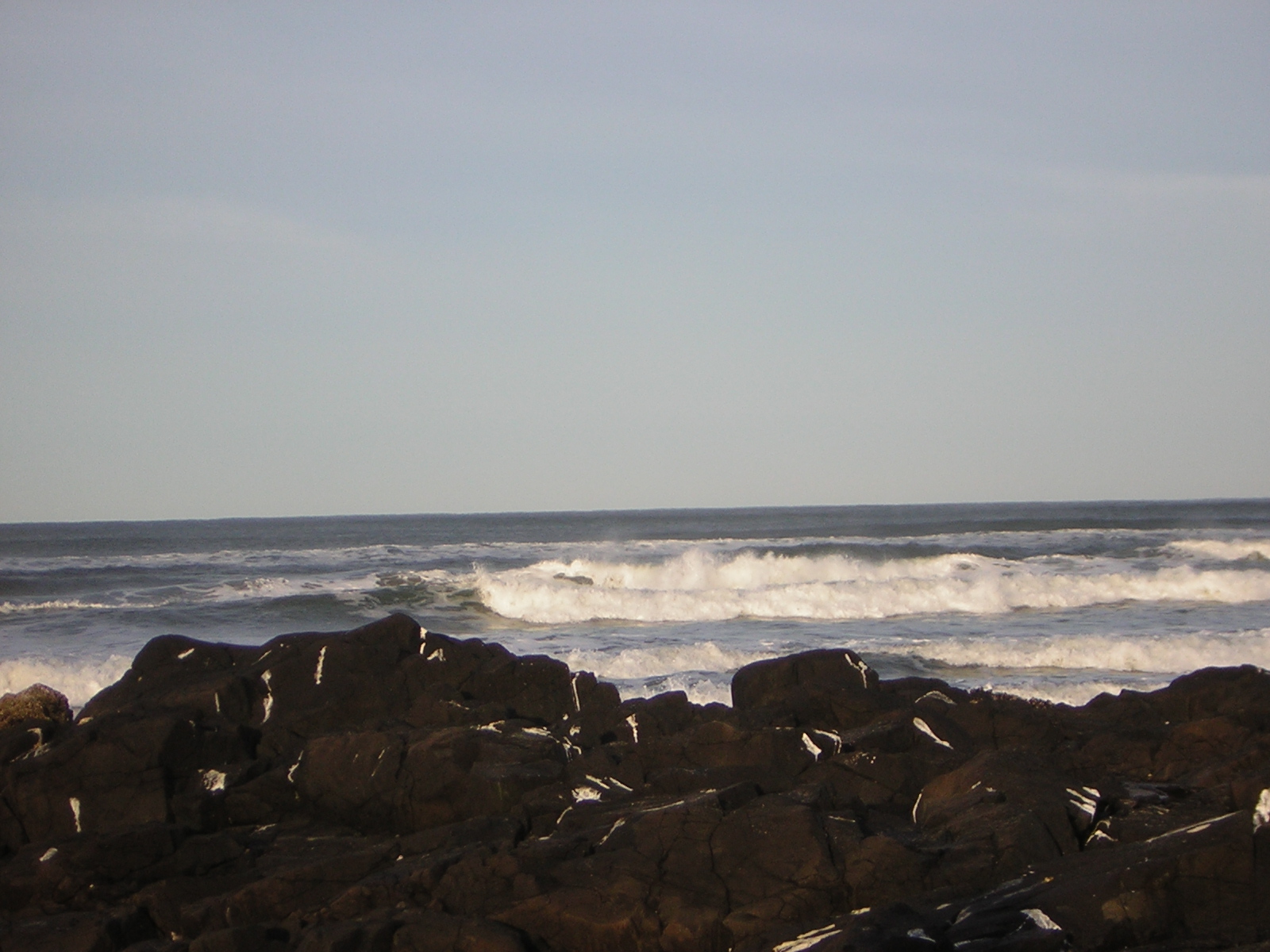 DSCN0781.jpg