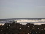 DSCN0781.jpg