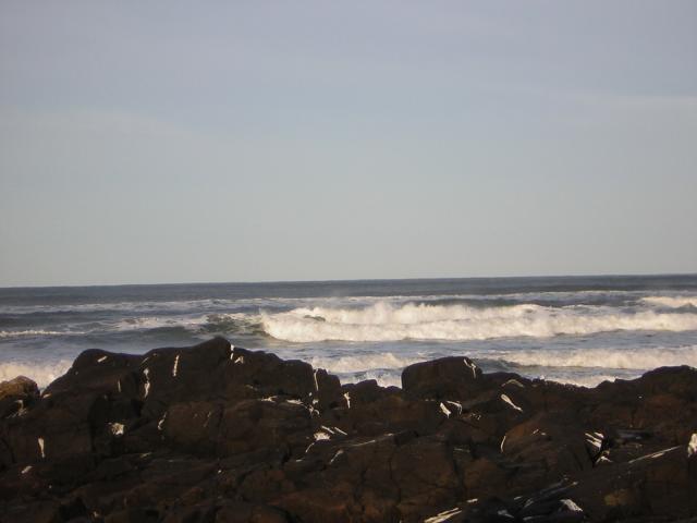 DSCN0781.jpg