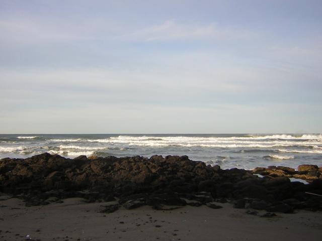 DSCN0782.jpg