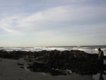 DSCN0783.jpg