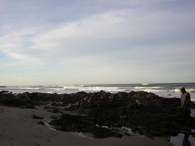 DSCN0783.jpg