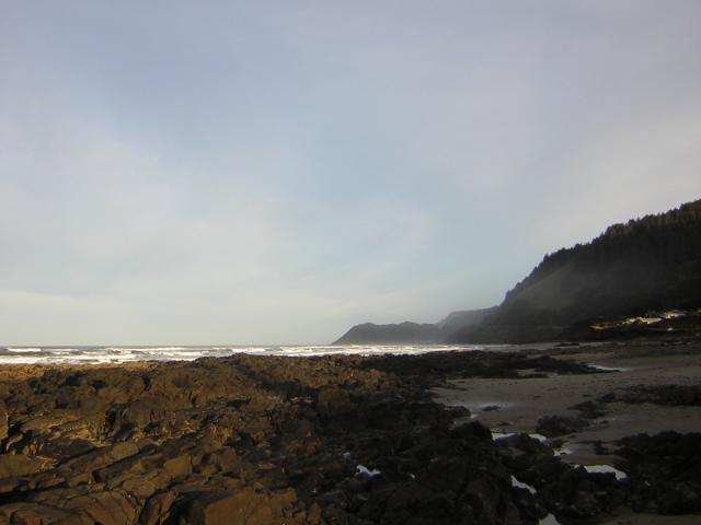 DSCN0784.jpg