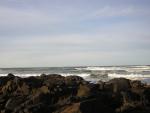 DSCN0786.jpg