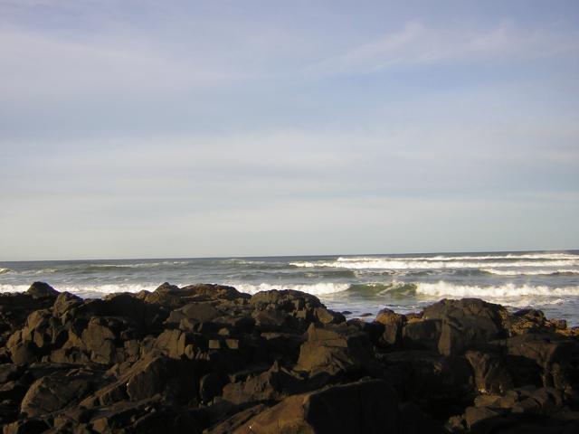DSCN0786.jpg