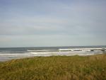 DSCN0788.jpg