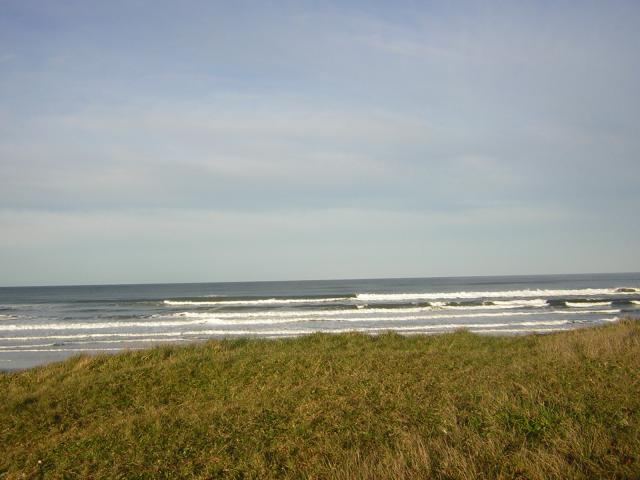 DSCN0788.jpg