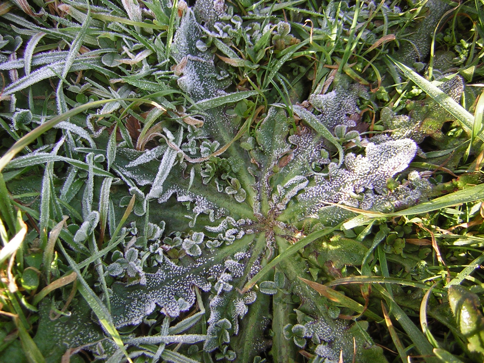 DSCN0789.jpg