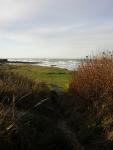 DSCN0790.jpg