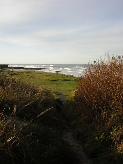 DSCN0790.jpg