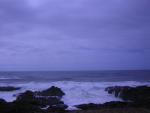 DSCN0176.jpg