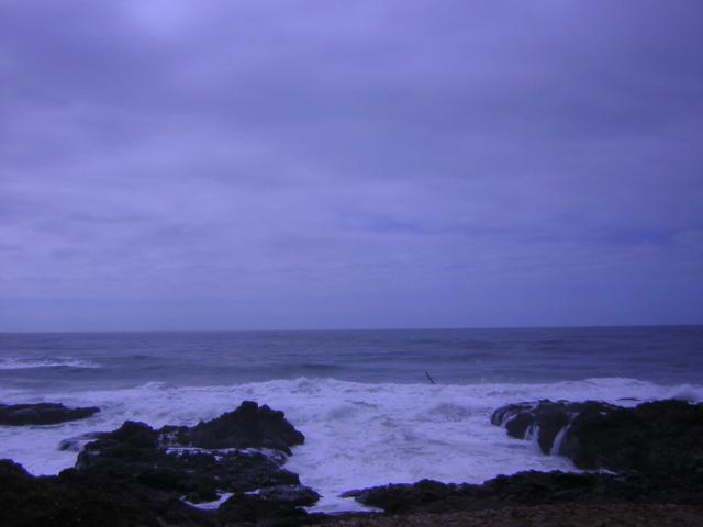 DSCN0176.jpg