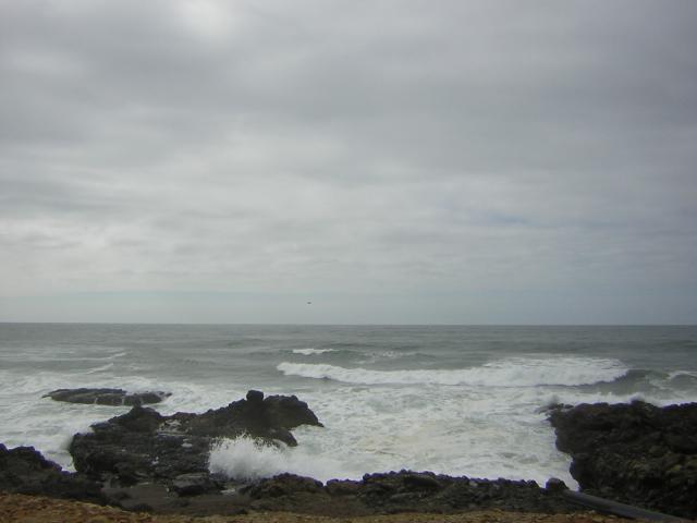 DSCN0177.jpg