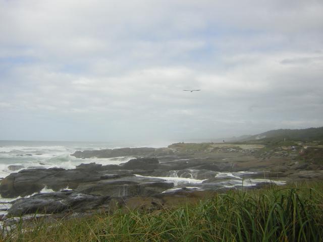 DSCN0182.jpg