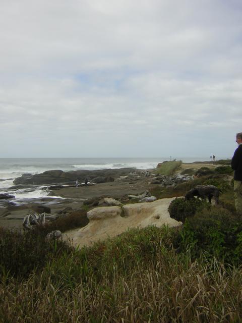 DSCN0183.jpg