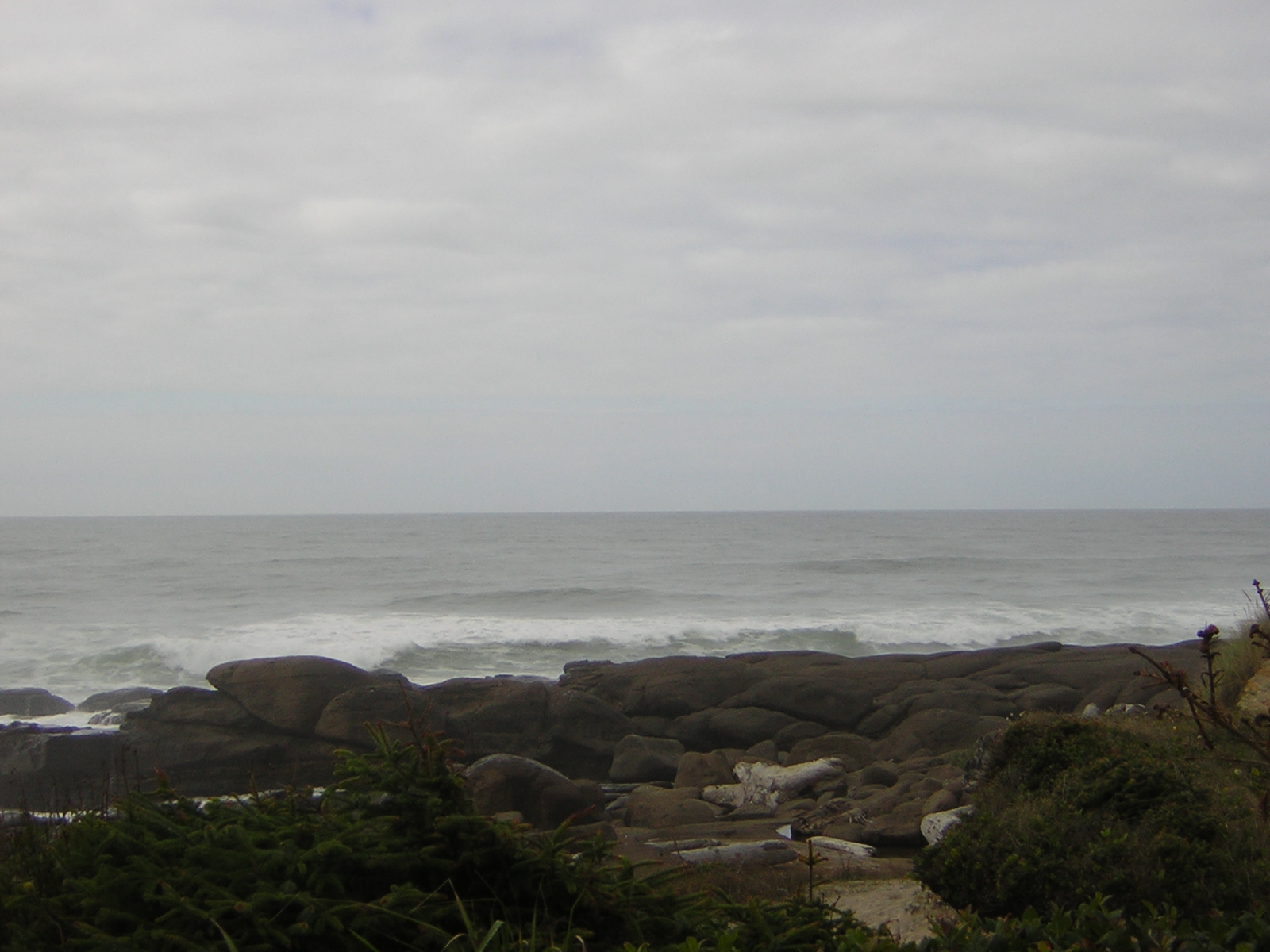 DSCN0184.jpg