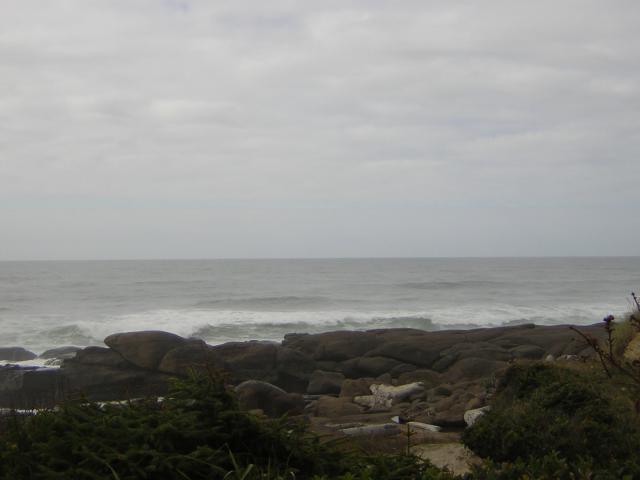 DSCN0184.jpg