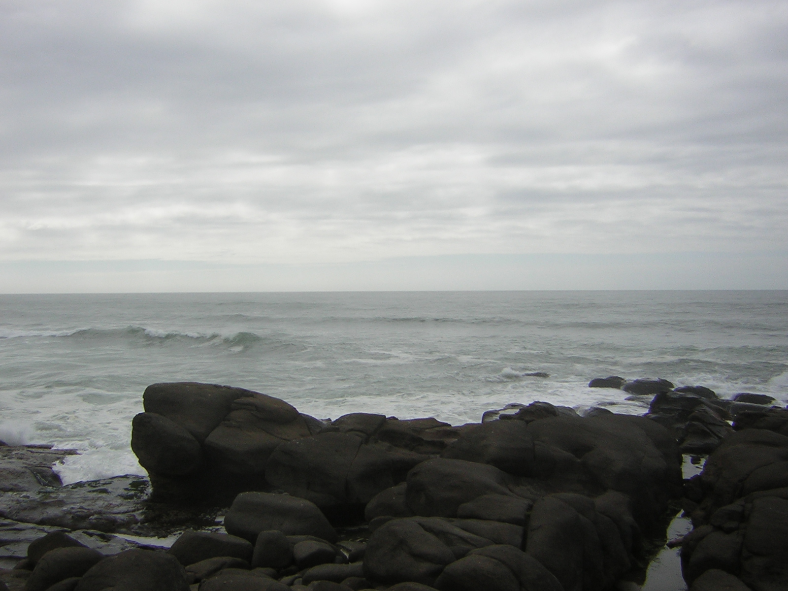DSCN0187.jpg