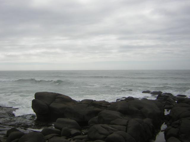 DSCN0187.jpg