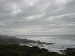 DSCN0193.jpg