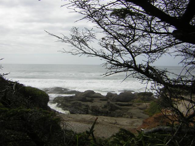 DSCN0195.jpg
