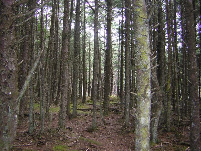 DSCN0196.jpg