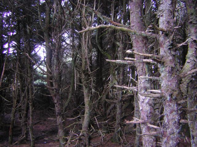 DSCN0197.jpg
