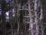 DSCN0198.jpg
